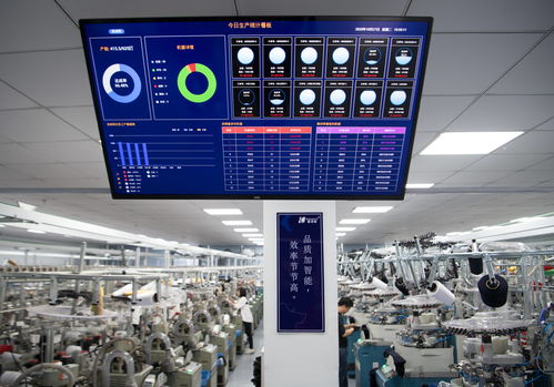 浙江諸暨 以計算機硬件開發開拓創新，驅動襪業新增長