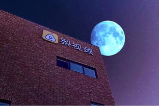 獵聘網 連接職場的橋梁與互聯網信息咨詢的革新力量